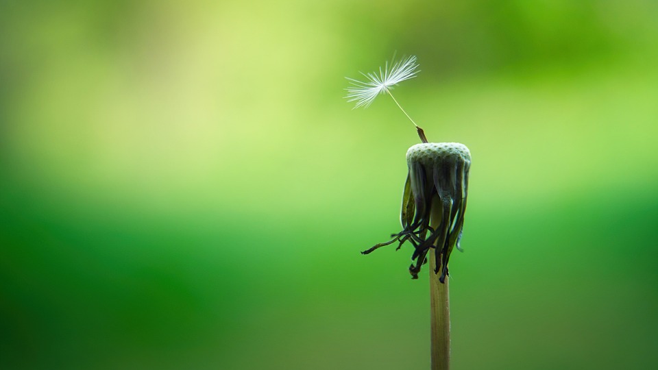 El adjetivo de Consciencia: ejemplos y aplicaciones