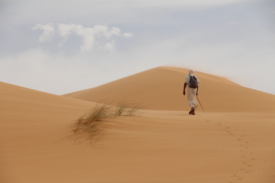 El adjetivo de Mauritania: uso y ejemplos excepcionales