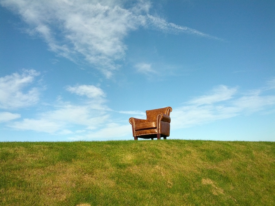 El adorno perfecto: el adjetivo de Sillón