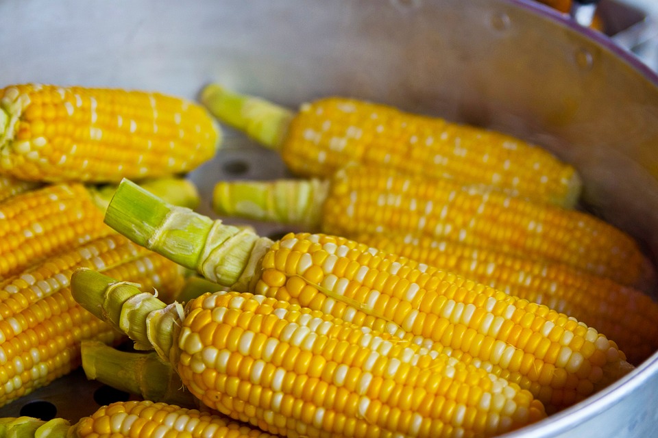 El uso del adjetivo de Palomitas: ejemplos prácticos