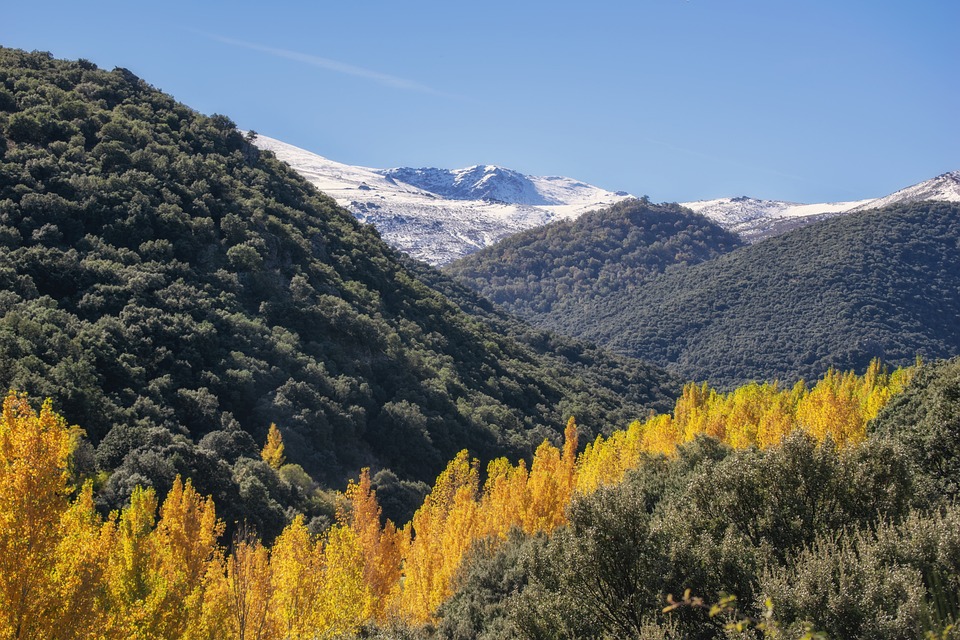 El adorno de Sierra: Uso y ejemplos del adjetivo de