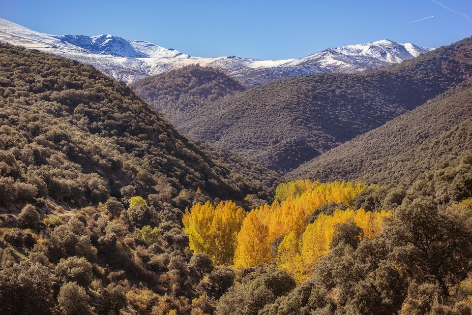 Todas las claves del adjetivo de Sierra