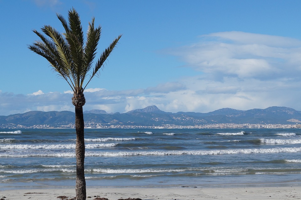 Todo sobre el adjetivo de Playa de carga