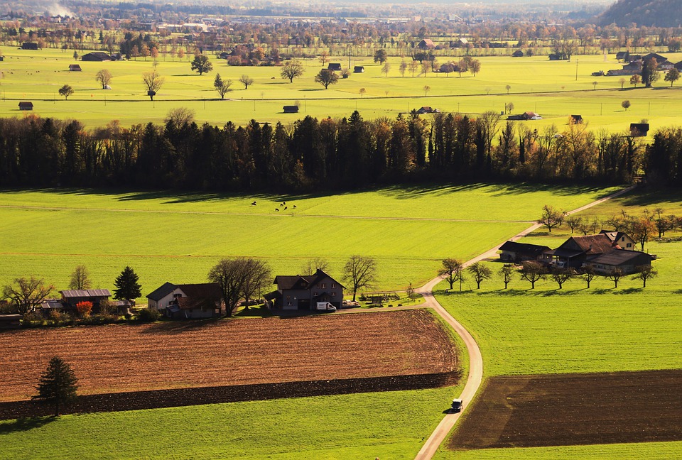 Adjetivo de Área Rural: Uso y Ejemplos