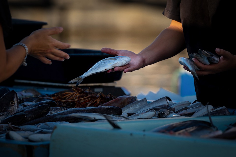 El adjetivo de Pescadería: uso y ejemplos