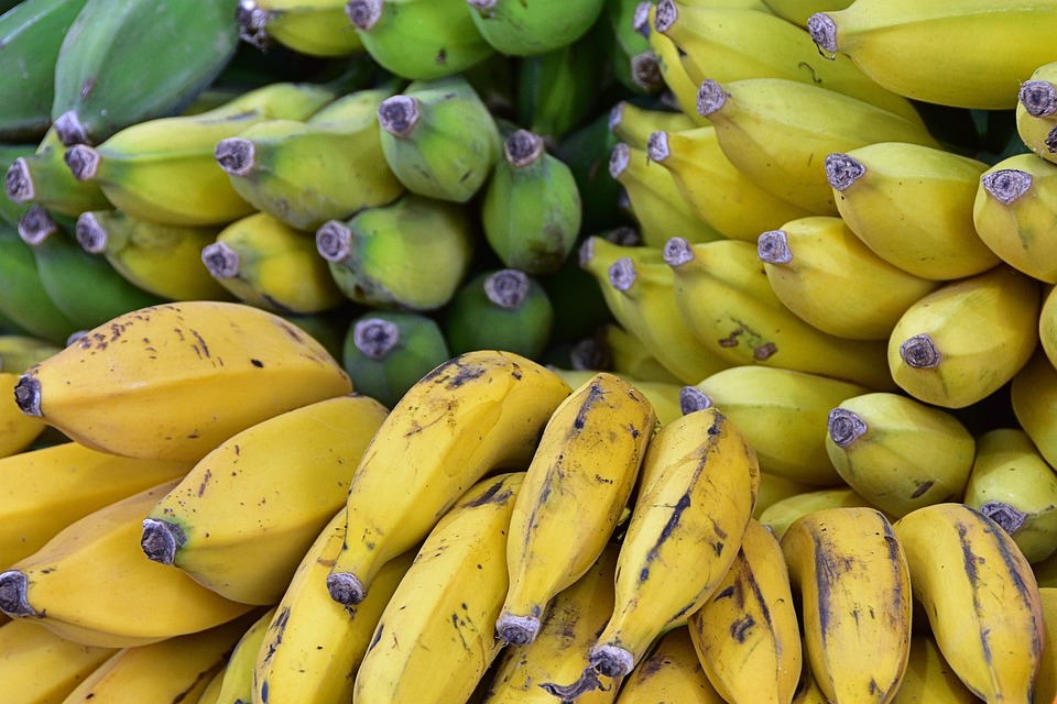 Adjetivo de Fruta: Uso y Ejemplos