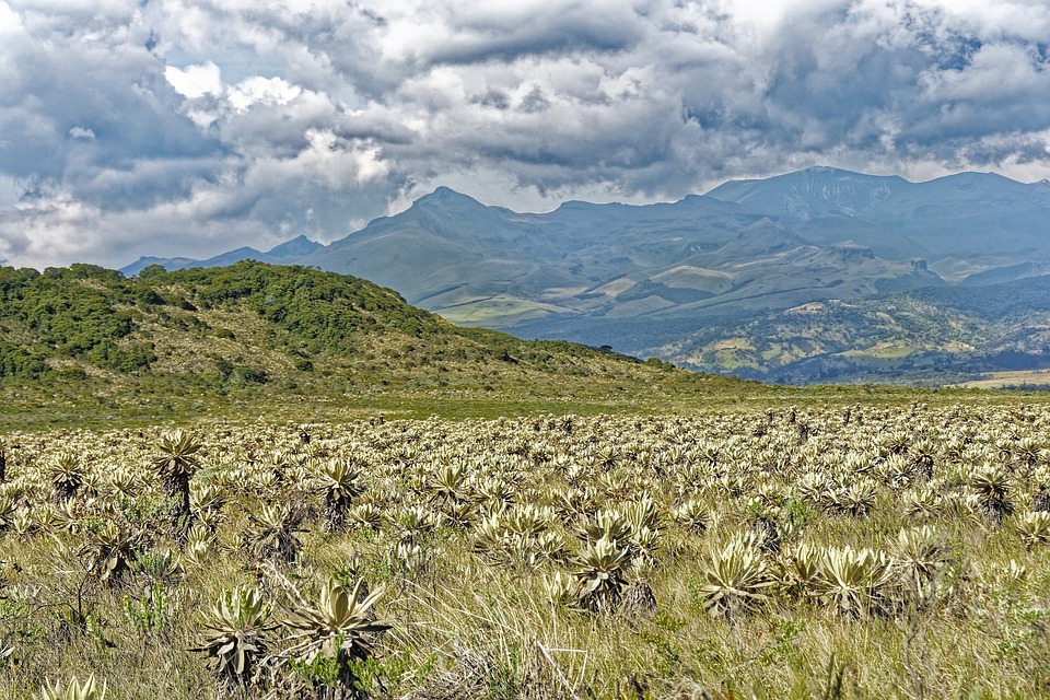 Adjetivo de Parque Nacional: Uso y Ejemplos