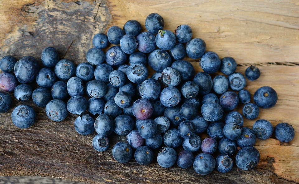 El aderezo de arándano: Usos y ejemplos del adjetivo de esta fruta