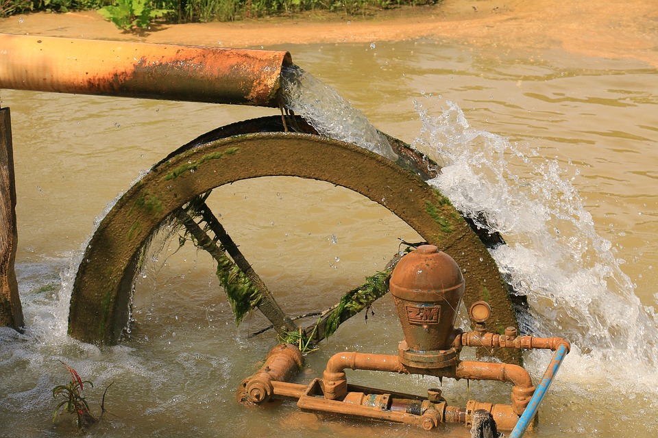 El uso del adjetivo de Agua tonificante: ejemplos