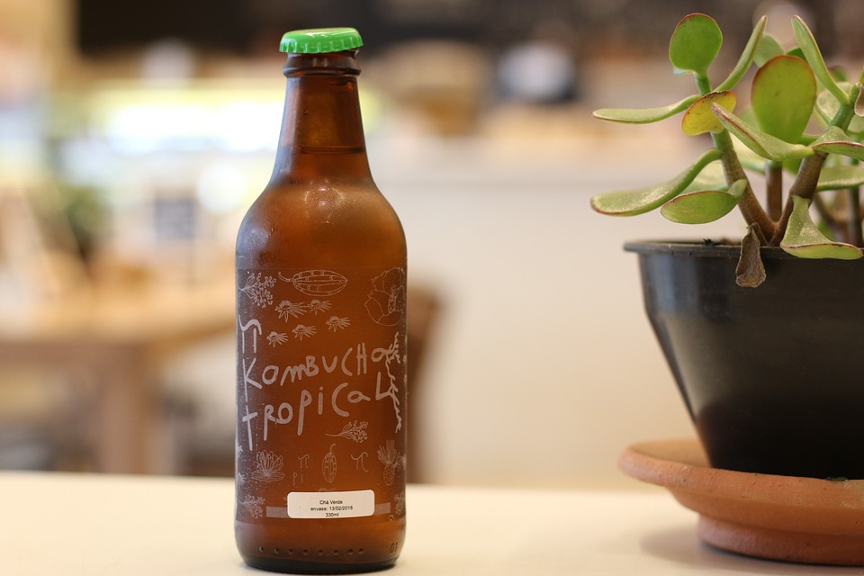 Conoce el adjetivo de Kombucha: uso y ejemplos.